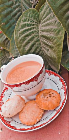 a cup of tea and some cookies on a saucer next to a potted plant