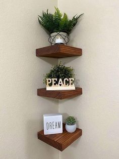 three wooden shelves with plants and signs on them, hanging from the side of a wall