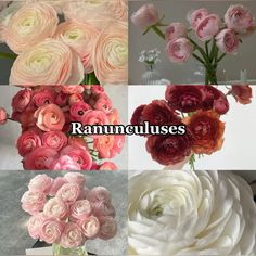 many different types of flowers are shown in this collage with the words rammelues