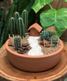 a potted plant with cacti and rocks in it