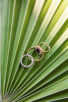 two wedding rings sitting on top of a green palm tree leaf next to each other