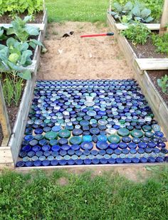 an outdoor garden with blue glass bottles in the ground and plants growing out of them