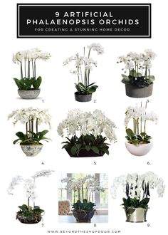 9 Artificial Orchids Creating a Stunning Home Decor - Beyond The Shop Door Orchid Living Room, Fake Orchids Decor Home, Fake Orchid Arrangements, Large Orchid Arrangement, Orkide Flower Decoration, Orchid Decor Living Room, Orchid Centerpiece Ideas, Orchid Centerpiece Dining Room