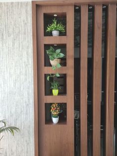 three potted plants are sitting on shelves in front of a wooden door with glass panels