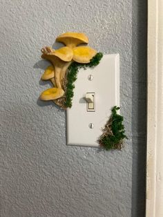 a light switch cover with mushrooms and moss growing out of the outlet on the wall