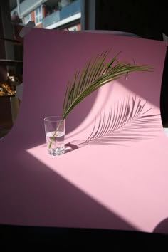 a palm leaf sitting on top of a table next to a glass filled with water