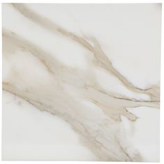 24x24 Calacatta Gold Polished porcelain tile - Industry Tile Calacatta Tile, Lake House Kitchen, Polished Porcelain Tiles, Silver Walls, Calacatta Gold, Tile Projects, Flipping Houses, Porcelain Tiles, Porcelain Flooring