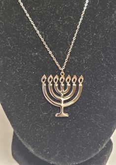 Stainless steel Jewish menorah necklace Large Width: 30mm Height: 30mm Chain length: 45cm Small Width: 20mm Height: 20mm Chain length: 43cm Silver Star Of David Necklace For Hanukkah, Pomegranate Necklace, Gold Tassel Earrings, Jewish Jewelry, Red Pomegranate, Menorah, Tassel Earrings, Chain Lengths, Chain Length