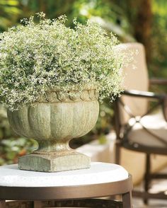 a large potted plant sitting on top of a table next to chairs and tables