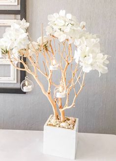 a vase filled with white flowers on top of a table