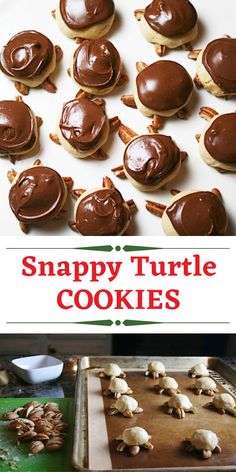 chocolate turtle cookies on a cookie sheet with the words snappy turtle cookies above them