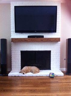 a dog laying on the floor in front of a fireplace with a flat screen tv above it