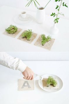 Seeds Paper, Plant Paper, Paper Objects, Green Marketing, Gardens Ideas, Paper Light