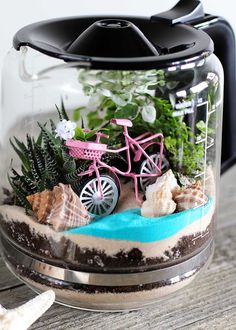 a glass jar filled with plants and a miniature pink bike in the bottom, sitting on top of a wooden table