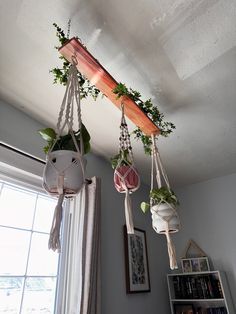 Plant hanger Amazon Plants Hanging From Ceiling, Hanging Plants Ceiling, Plants Ceiling, Plants Hanging, Hanging Plant, Plant Holder, Hanging Plants, Plant Holders, Room Inspo