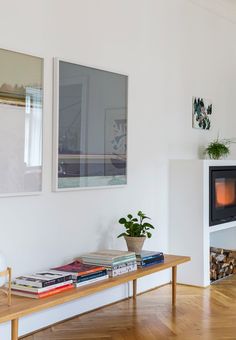 there is a table with books and a potted plant on it in front of the fireplace