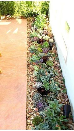 an outdoor garden area with various plants and rocks in the ground next to a white wall