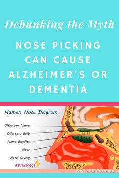 Nose picking can introduce harmful bacteria Chlamydia pneumonia into the brain, leading A Alzheimer's or Dementia that are neuro-generative diseases. Nose Diagram, Chronic Sleep Deprivation, Nasal Cavity, Degenerative Disease, Brain Tissue, Tea Health Benefits, Health Risks, Alzheimers