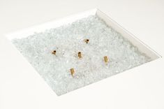 three tiny gold studs in a white box filled with ice