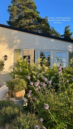 a white house surrounded by flowers and trees