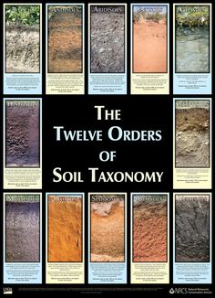 the twelve orders of soil taxionyy in different colors and sizes, with text overlay