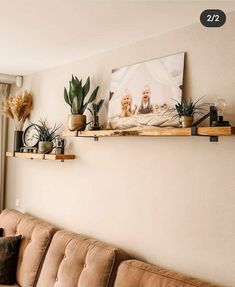 a living room filled with lots of furniture and plants on top of wooden shelves next to a window