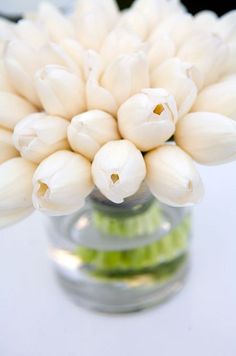 a vase filled with white flowers on top of a table