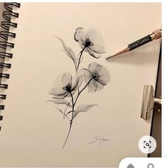 a pencil drawing of three flowers on a notepad next to a pen and paper