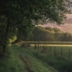 the sun is setting over an open field with trees on both sides and a fence in the foreground