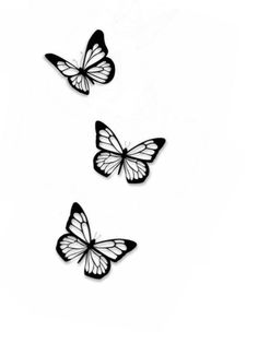 three black and white butterflies flying in the air