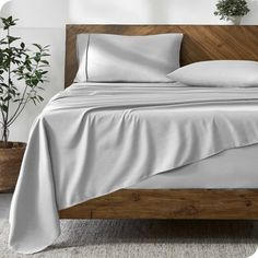 a bed with white sheets and pillows in a room next to a potted plant