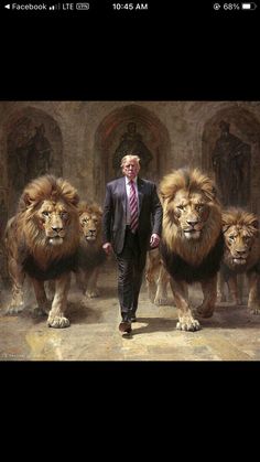 a man in a suit and tie walking between lions