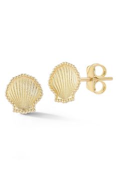 Stud earrings in the shape of a beaded-trim sea shell are made from gleaming 14-karat gold with a polished finish. 3/8"W x 3/8"L Post back 14k gold Made in Turkey Shell-shaped Gold Jewelry For Anniversary, Gold Shell-shaped Jewelry For Anniversary, Gold Shell-shaped Jewelry For Formal Occasions, Shell-shaped Yellow Gold Earrings Gift, Yellow Gold Shell-shaped Earrings Gift, Yellow Gold Shell-shaped Earrings, Shell-shaped Yellow Gold Earrings For Gifts, Yellow Gold Shell-shaped Earrings For Pierced Ears, Elegant Shell-shaped Yellow Gold Earrings