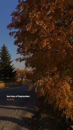 an image of a street with trees in the background and a sign that says last day of september