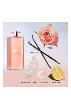 What it is: A refill of Lancôme's fragrance made by women for women, with fresh notes of bright citrus, clean rose, spotless jasmine, white musks and vanilla.Fragrance story: At the core of this fragrance stands the most noble and iconic perfume ingredient, the rose. Jasmine absolutes accompany this unique rose scent to create a clean, intense softness which blooms gracefully. Enveloping the fragrance like a cocoon, notes of bergamot explode with juicy pear and a touch of pink peppercorn. Style: Jasmine White, Vanilla Patchouli, Scented Body Lotion, Pink Peppercorn, Rose Scent, Instant Lifts, Extraordinary Moments, Unique Roses, Vanilla Fragrance