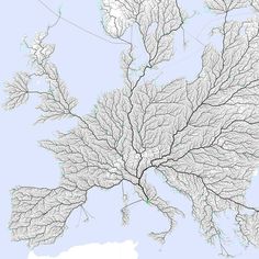 a map of the united states with rivers running through it and trees on each side