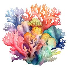 watercolor painting of colorful corals on white background