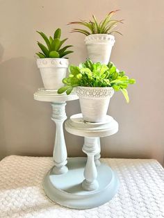 three potted plants sitting on top of a white stand next to a wall mounted mirror