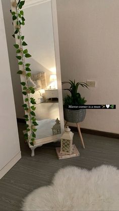 a mirror sitting on top of a wooden floor next to a potted green plant