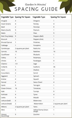 the garden in minutes spacing guide