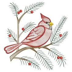 a red cardinal sitting on top of a pine tree branch with berries and needles around it