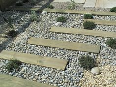 a garden with rocks and plants in it