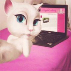 a white cat laying on top of a pink bed next to a laptop computer with blue eyes