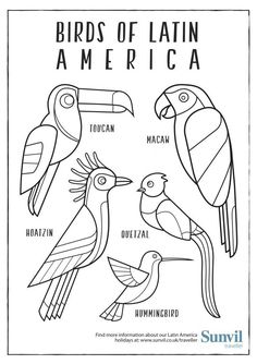 birds of latin america coloring page with the names and their meaningss for each bird