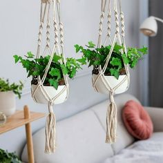 two hanging planters filled with green plants on a white couch in a living room