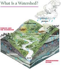 an illustrated diagram of what is a watershed? and how does it work?