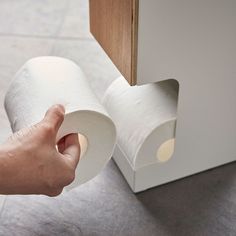 a person holding a roll of toilet paper in their hand