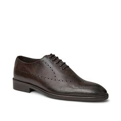 Bruno Magli-Ansel Oxford Office or special events, look dapper in the Bruno Magli Ansel oxford. Brogue accents create a striking appeal to the Italian leather lace-up, enhanced with a cozy leather foam footbed. Bruno Magli, Looking Dapper, Leather Lace, Leather And Lace, Italian Leather, Special Events, Dark Brown, Oxford, Lace Up