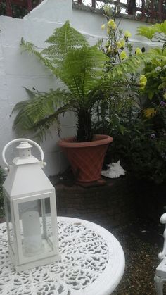 two white chairs sitting on top of a table next to a potted plant and a lantern