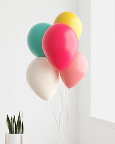 a bunch of balloons floating in the air next to a potted succulent